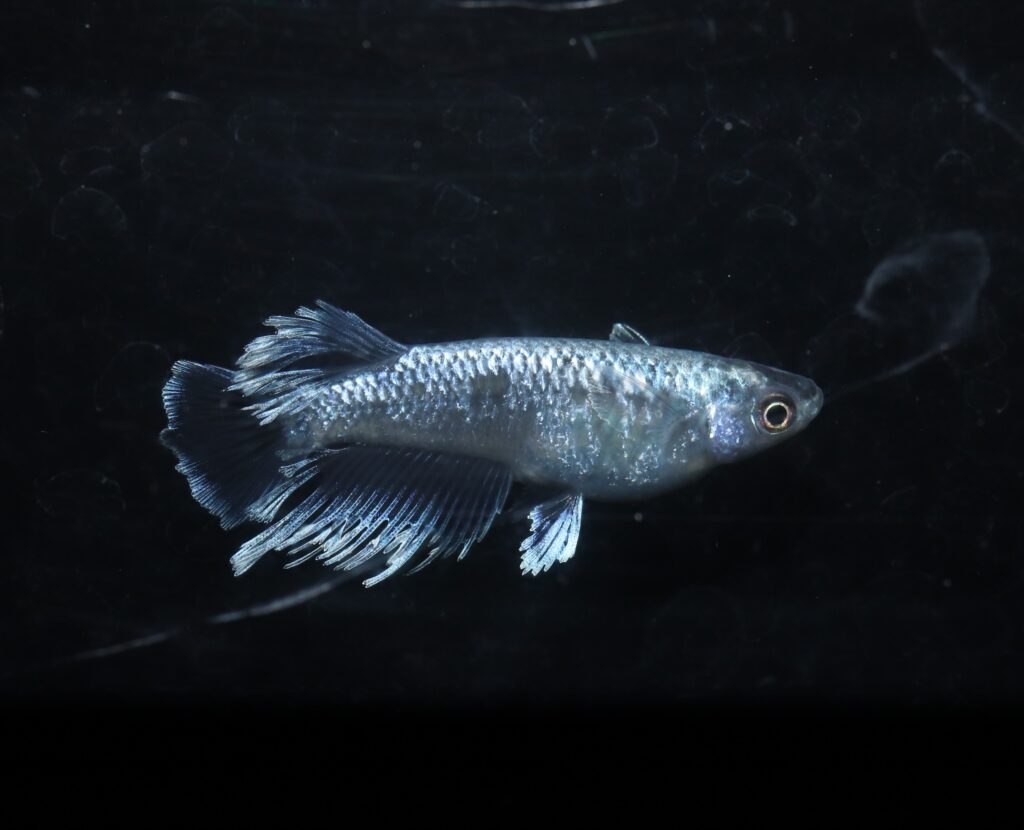 3月1日から店舗営業再開します！