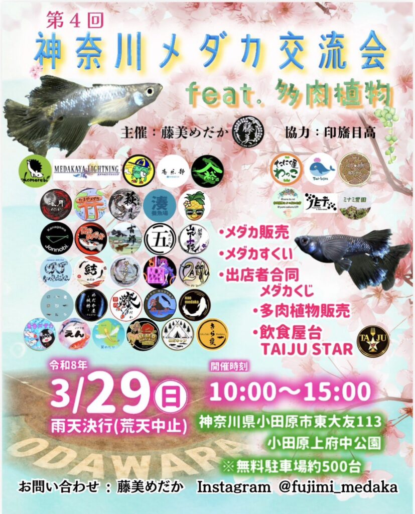 2026年3月29日は小田原でのイベント出店のため臨時休業です