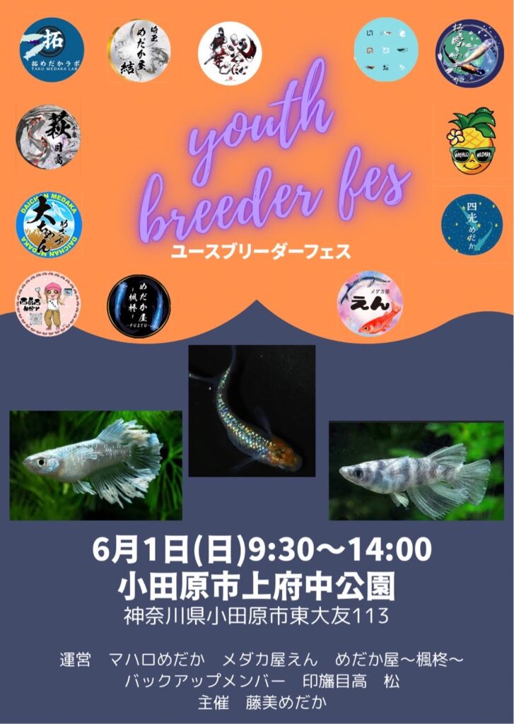 2025年6月1日（日）は小田原でのイベントに出店しますので臨時休業です