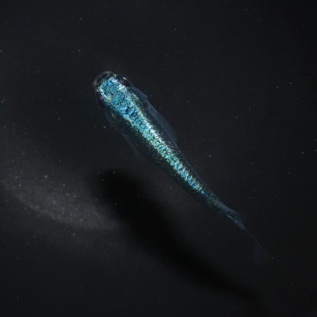 12月～2月まで店舗営業はお休みとなります