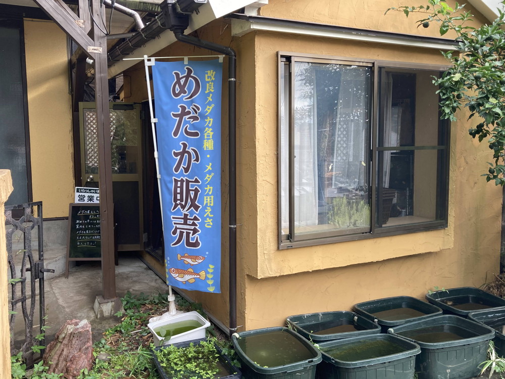 メダカ屋えんについて